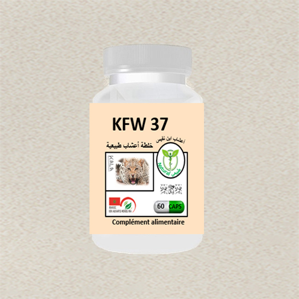 newproduct/KFW37-60.jpg