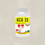 KCA 23